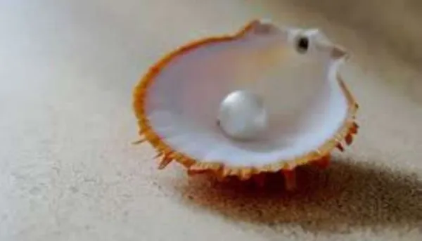 मोती कैसे धारण करें, जानें इस पहनने के फायदे