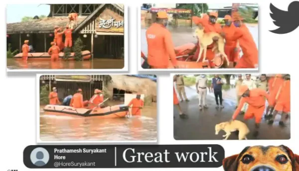 Maharashtra flood: ಪ್ರವಾಹದಲ್ಲಿ ಸಿಲುಕಿದ್ದ ನಾಯಿಯನ್ನು ರಕ್ಷಿಸಿದ NDRF