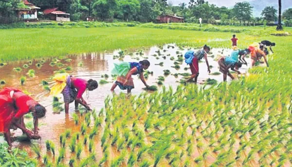 వాయిదా వద్దు.. రద్దే!