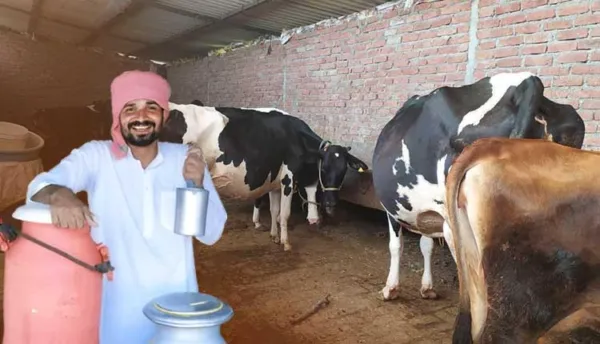 ଦୁଗ୍ଧଚାଷୀଙ୍କୁ ମିଳିବ ଲିଟର ପିଛା ୧ ଟଙ୍କା