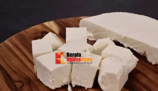 സസ്യാഹാരികളുടെ പ്രോട്ടീൻ കലവറ; പനീര്‍ കഴിച്ചാല്‍ ശരീരത്തിന് സംഭവിക്കുന്നത്