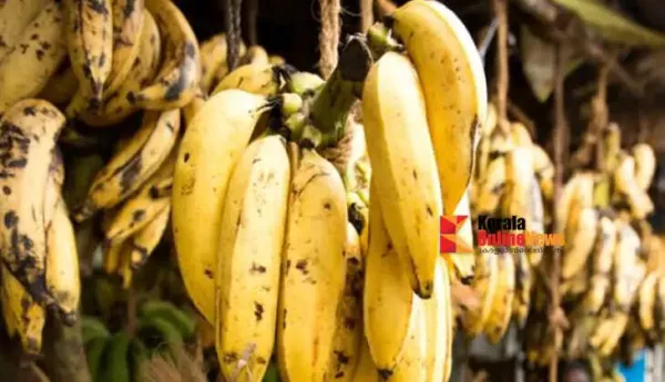 വണ്ണം കുറയ്ക്കാൻ നോക്കുന്നവര് ഈ ഫ്രൂട്ട്സ് ഒഴിവാക്കരുത്