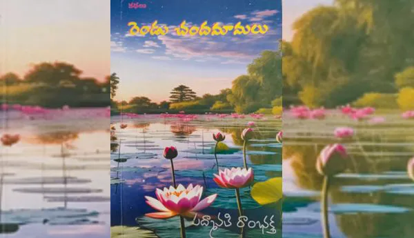 పరిణత వాదం .. పదునైన కథనం .
