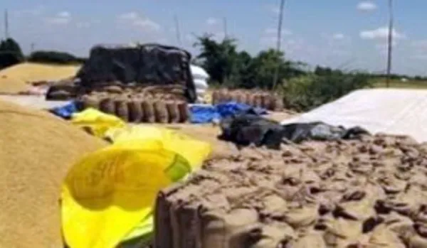 ଧାନ କିଣା ଅବଧି ୭ ଦିନ ବଢ଼ିଲା