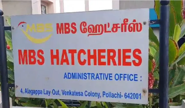 பொள்ளாச்சி கோழிப்பண்ணை நிறுவனத்தில் ரெய்டு : பின்னணி என்ன?