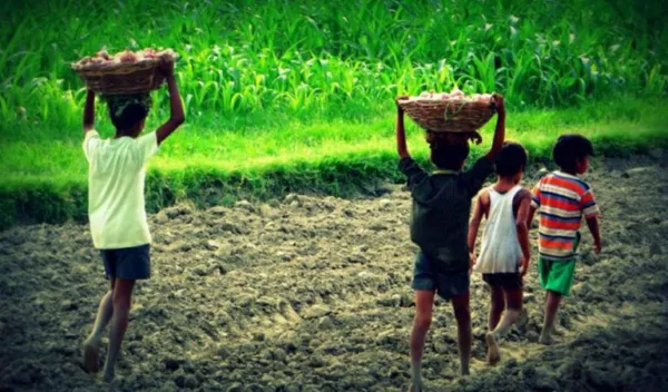 T'gana caste survey: 89,000 child labourers exist in state, mostly from SC, ST