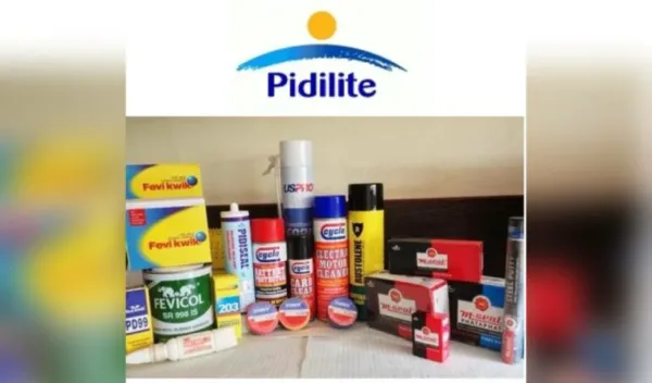 Pidilite may raise prices again as West Asia crisis pushes up raw material costs
