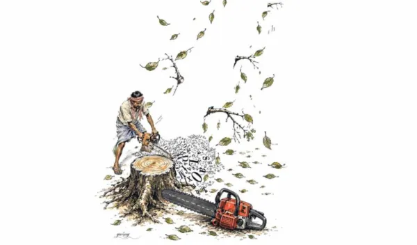 Rewind: Hyderabad Untreed - City's fading eco-memory