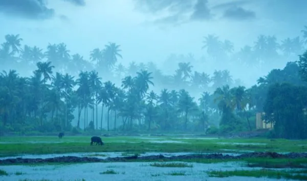 ಮಳೆ ಕೊರತೆ: ಮುಂಗಾರು ಬಗ್ಗೆ ಹವಾಮಾನ ಇಲಾಖೆ ಮಹತ್ವದ ಮಾಹಿತಿ