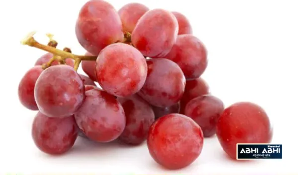क्या आपने खाया है लाल अंगूर, इसके गजब फायदे जानकर आप भी खाना कर देंगे शुरु