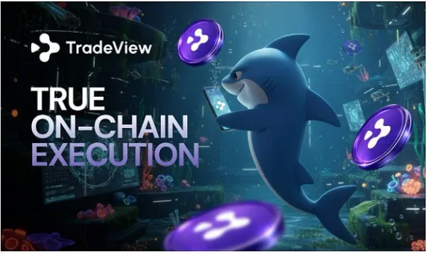 Perp DEX vs Centralized Exchanges: TradeView's Approach to Transparency and Execution Compared Clearly