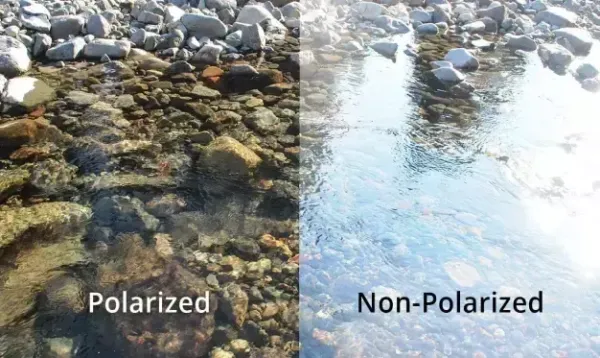 Polarized vs Non-Polarized Sunglasses: What's the Difference?
