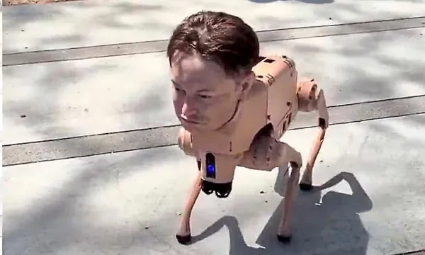 Elon Musk-faced robot dog turns heads on San Francisco streets, goes viral online
