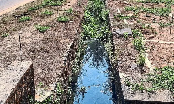 Drainage issue turns Annayya Gowda Layout into mosquito breeding spot in Thirthahalli