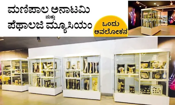Manipal Anatomy Pathology Museum; ಮಣಿಪಾಲ ಅನಾಟಮಿ ಪೆಥಾಲಜಿ ಮ್ಯೂಸಿಯಂ: ಒಂದು ಅವಲೋಕನ