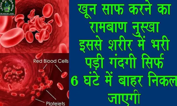 खून, किडनी, लीवर, आंत और नसों में जमा गंदगी को एक हफ्ते में साफ कर सकती हैं ये 6 चीजें'