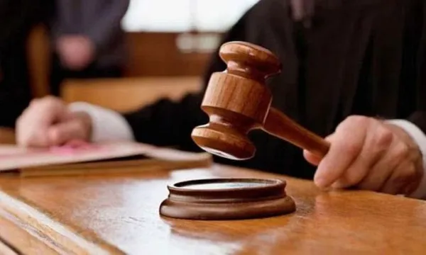 അമ്മയെ അടിച്ചു കൊലപ്പെടുത്തിയ മകന് ജീവപര്യന്തം ശിക്ഷ