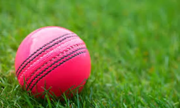 ICC to allow use of pink ball on trial basis in Tests affected by bad ...