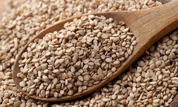 Sesame on Your Winter Plate: The Ancient Answer to Modern Wellness
