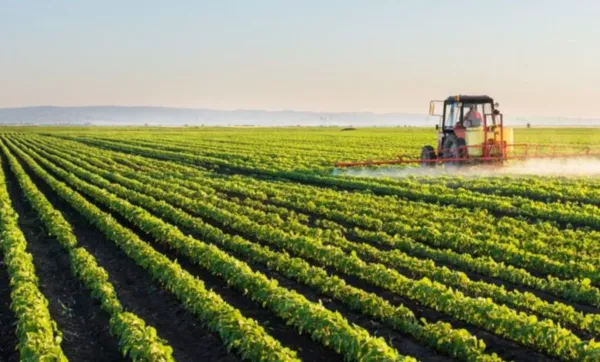 Agriculture University in India : एग्रीकल्चर में बनाना है करियर? जानिए भारत की टॉप कृषि यूनिवर्सिटीज