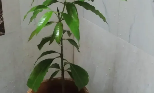 حیاتیاتی تنوع ۔ انسانی بقا کی ضمانت اور ہماری مشترکہ ذمہ داری