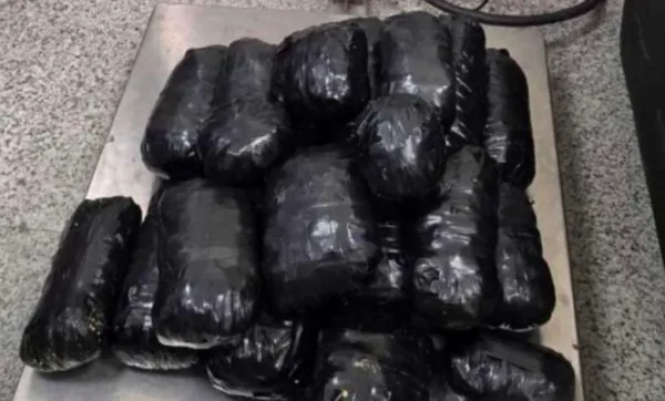 حیدراباد ایرپورٹ پر بینکاک سے لائی گئی 10 کروڑ کی ہائیڈروپونک گانجہ ضبط، مسافر گرفتار