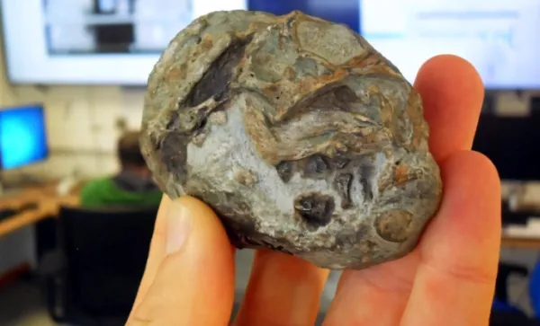 ୨୫ କୋଟି ବର୍ଷ ପୂର୍ବେ