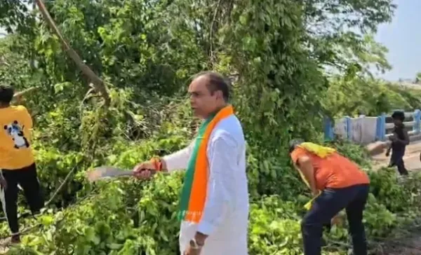 রাস্তায় পড়ে বিশালাকার গাছ! কাটারি হাতে ময়দানে বিজেপি প্রার্থী