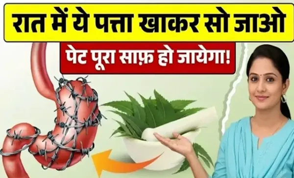 ये 4 पत्ते रात में खाइए' सुबह तक आपका पेट, लिवर और आंतें हो जाएंगी एकदम क्लीन