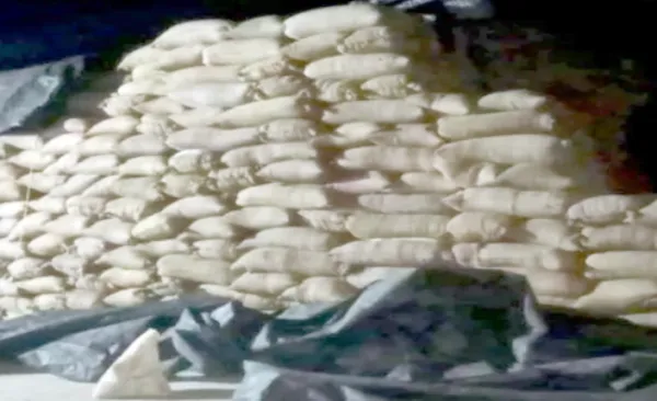 କାଳବୈଶାଖୀ ପରେ ଚାଷୀଙ୍କ ଚିନ୍ତା ବଢ଼ିଗଲା