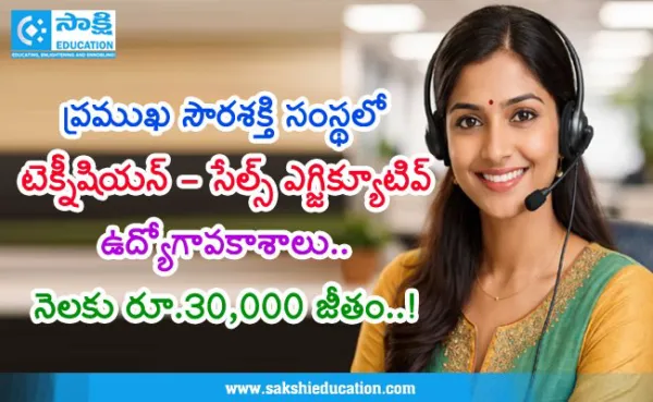 యూనిసోలార్ పవర్ ప్రైవేట్ లిమిటెడ్లో ఉద్యోగావకాశాలు