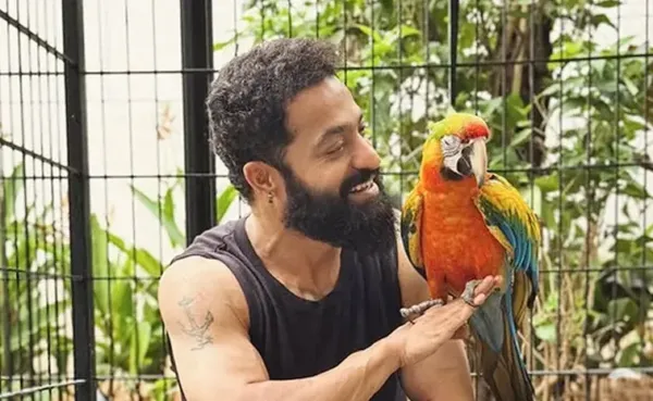 ఎన్టీఆర్ ప్రత్యేకమైన పోస్ట్.. తన కొత్త స్నేహితులు అంటూ పరిచయం..