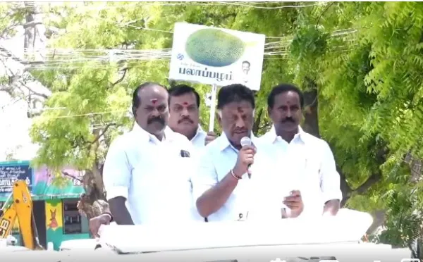 ராமநாதபுரம் : பலாவை பழுக்க வைக்க ஓபிஎஸ் தீவிரம்!