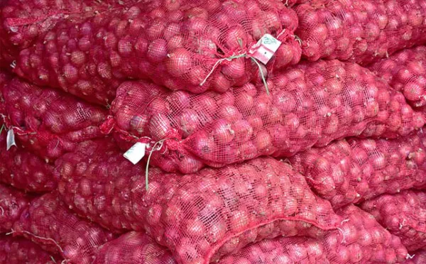 Maharashtra's onion belt battles falling prices and growing farm distress