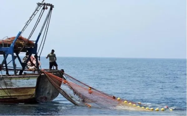 ఏపీలో ఈ నెల 15 నుంచి చేపల వేటపై నిషేధం