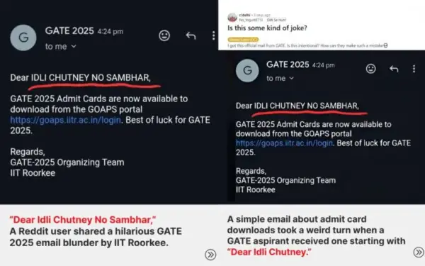 Idli Sambar Racist Slur: IIT Insults South Indians