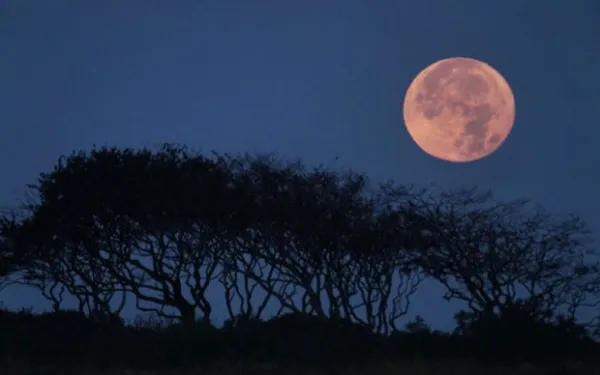 ಅಕ್ಟೋಬರ್ 31ರಂದು ಬಾನಂಗಳದಲ್ಲಿ "ನೀಲಿ ಚಂದ್ರನ" ವಿಸ್ಮಯ: ಏನಿದು ಹಂಟರ್ ಮೂನ್?