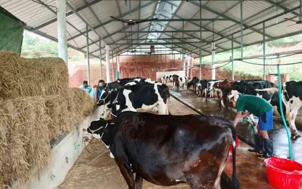 ಕಾಸರಗೋಡಿನಲ್ಲಿ ಕಿಡಾರಿ ಪಾರ್ಕ್ ಅಭಿವೃದ್ಧಿ