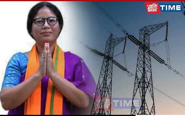 Govt Not Responsible For Rise In Electricity Bills: Nandita Gorlosa