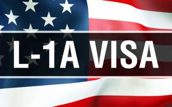 L1A with Criminal Charges: No Deportation Possible?
