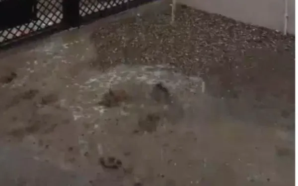 કચ્છ અને સૌરાષ્ટ્રમાં કરા સાથે કમોસમી વરસાદ, આગામી બે દિવસ ભારે પવન સાથે આગાહી