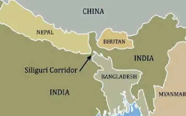 ଚିକେନ୍ ନେକ୍ ପ୍ରତି ଆମ ଦରଦ