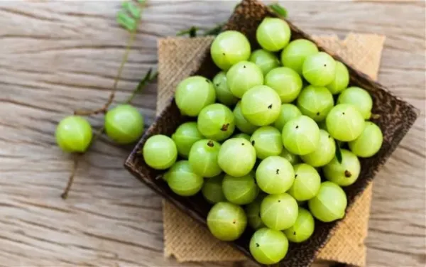 ଅଁଳାର ଲାଭଦାୟକ ଗୁଣ ଜଣାନ୍ତୁ ..