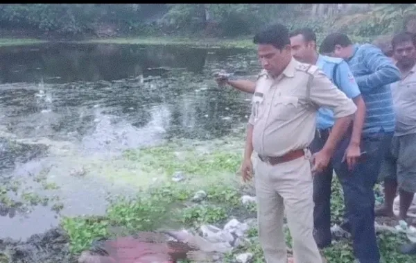 পুকুরে ভাসছে পচা-গলা দেহ, সাত সকালেই হুলুস্থুল