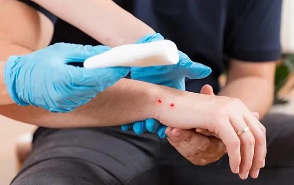 Assam: Workshop on strategies for 'Zero Snakebite Death' initiative held in Demow