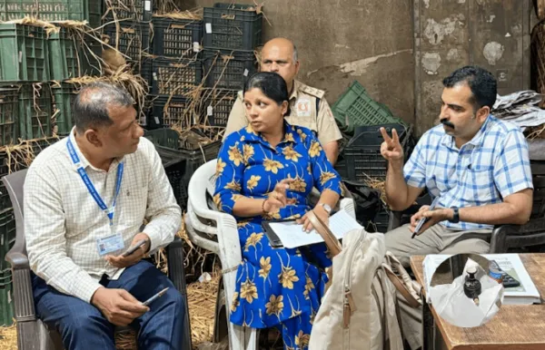 एपीएमसी मार्केटवर एफडीएची छापेमारी व्यापाऱ्यांना दणका, आंबे पिकवण्यासाठी घातक लिक्विड स्प्रेचा वापर