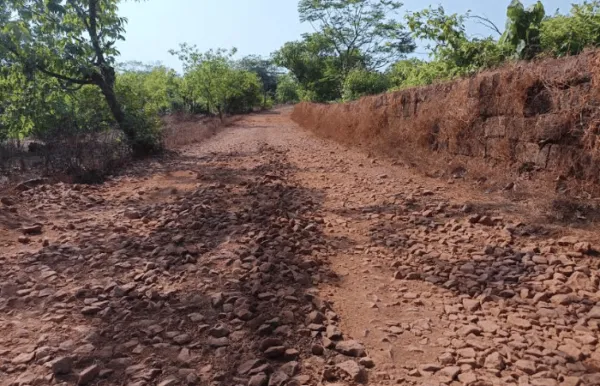 सिताराम पवार यांचे स्मारक होईल तेव्हा होईल, आधी नीट रस्ता तरी करून द्या; माथेगुजर ग्रामस्थांची मागणी
