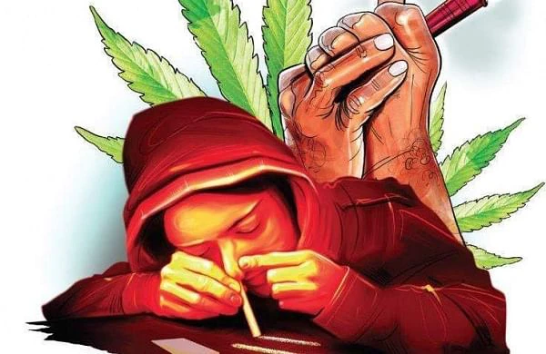 കേരള അതിര്‍ത്തിയിലേക്ക് കഞ്ചാവ് കെട്ടുകളുമായി എത്തുന്നത് കഴുതകള്‍; കഴുതകളെ കണ്ടെത്തി കഞ്ചാവ് പിടിച്ചാലും കാര്യമില്ല; സ്പെഷ്യല്‍ ഡ്രൈവിന്റെ വിവരങ്ങള്‍ ചോര്‍ത്തി കഞ്ചാവ് മാഫിയ