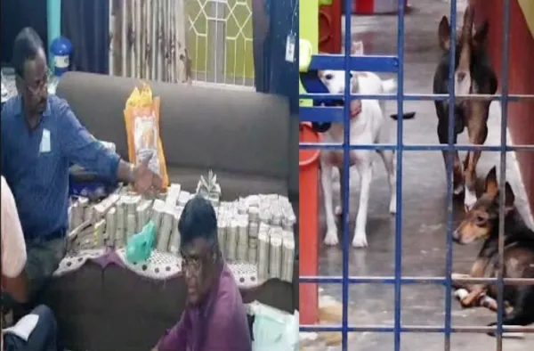 புதுச்சேரியில் சிக்கிய ரூ.4.9 கோடி : காப்பாற்ற முயன்ற அதிகாரி. காட்டி கொடுத்த நாய்கள்!