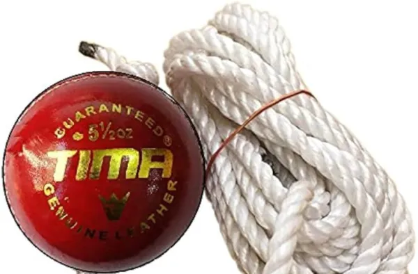 Top 10 Best Cricket Hanging Balls | Master Your Batting Technique